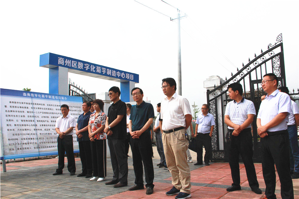 IMG_0115wps图片.JPG